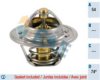 FAE 5204774 Thermostat, coolant
